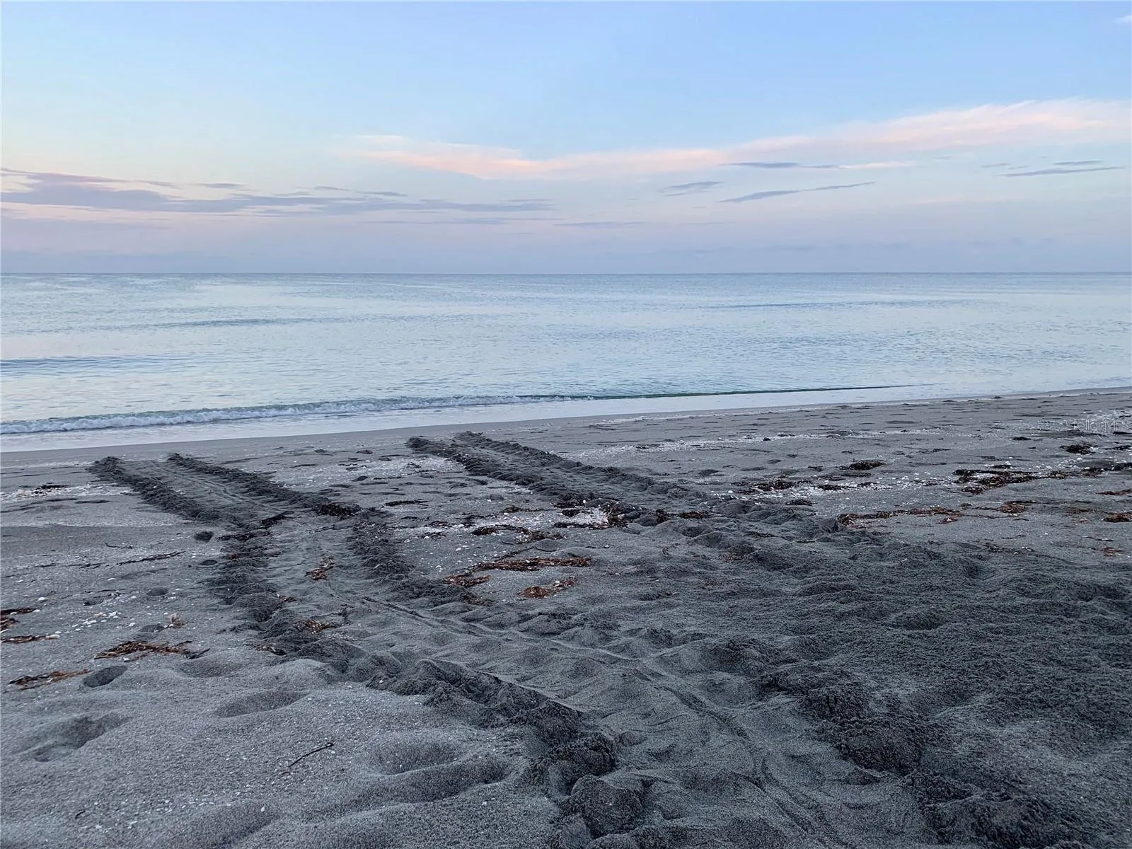 Observe protected sea turtle nesting areas nearby