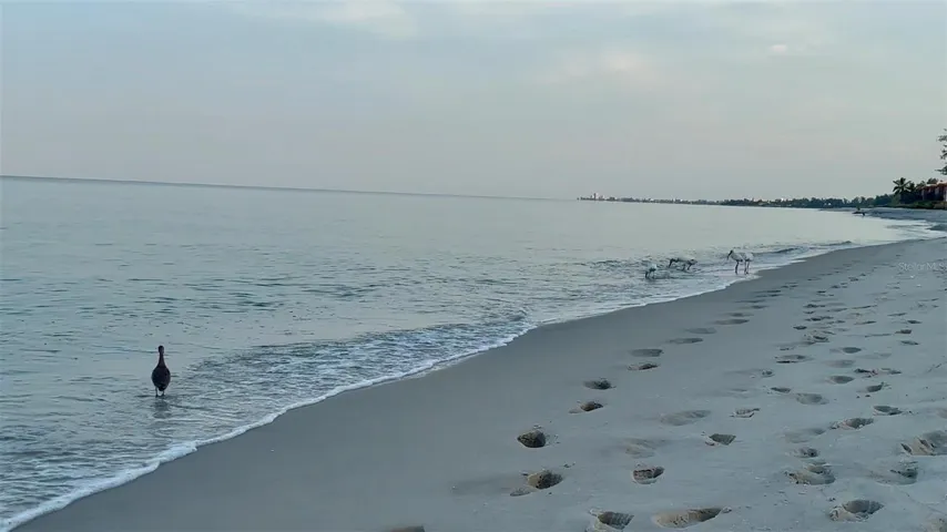 Beautiful beaches outside the gates, Turtle Beach, Crescent Beach, Siesta Beach.