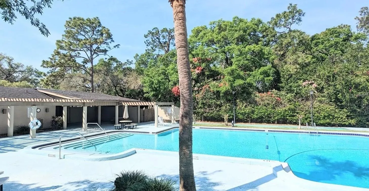 Community pool