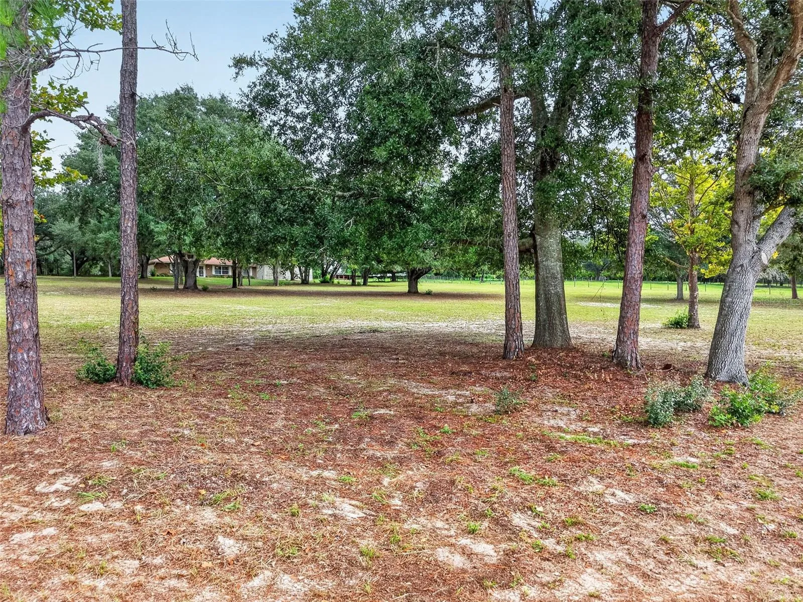Property facing North from SR 44