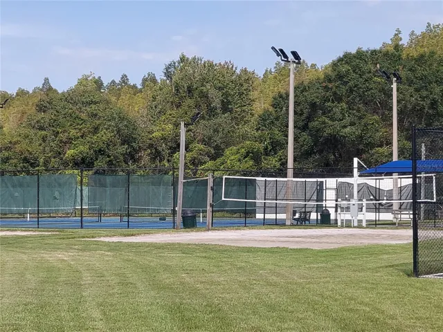 volleyball