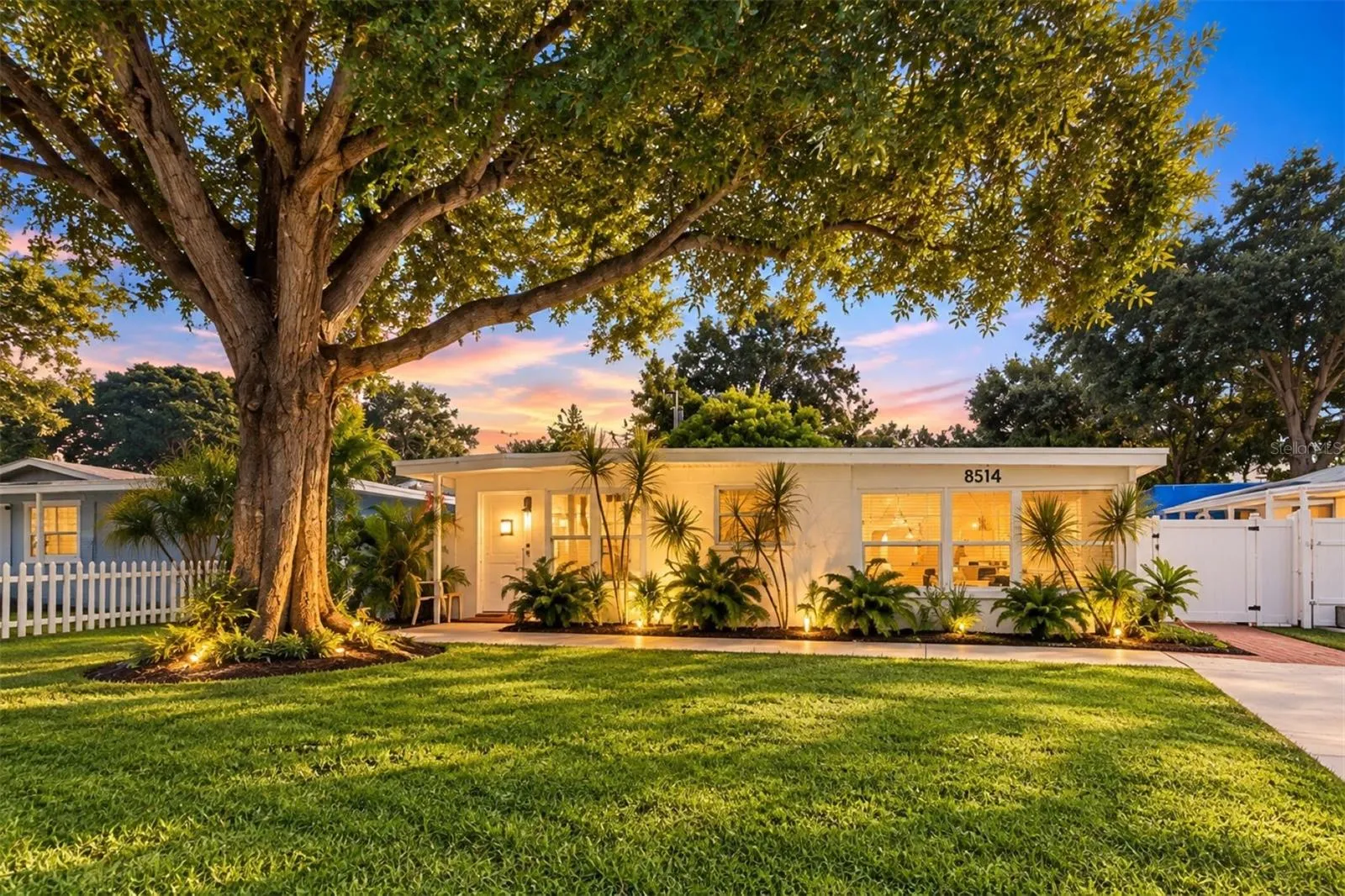 Charming curb appeal framed by a gorgeous mature oak tree.
