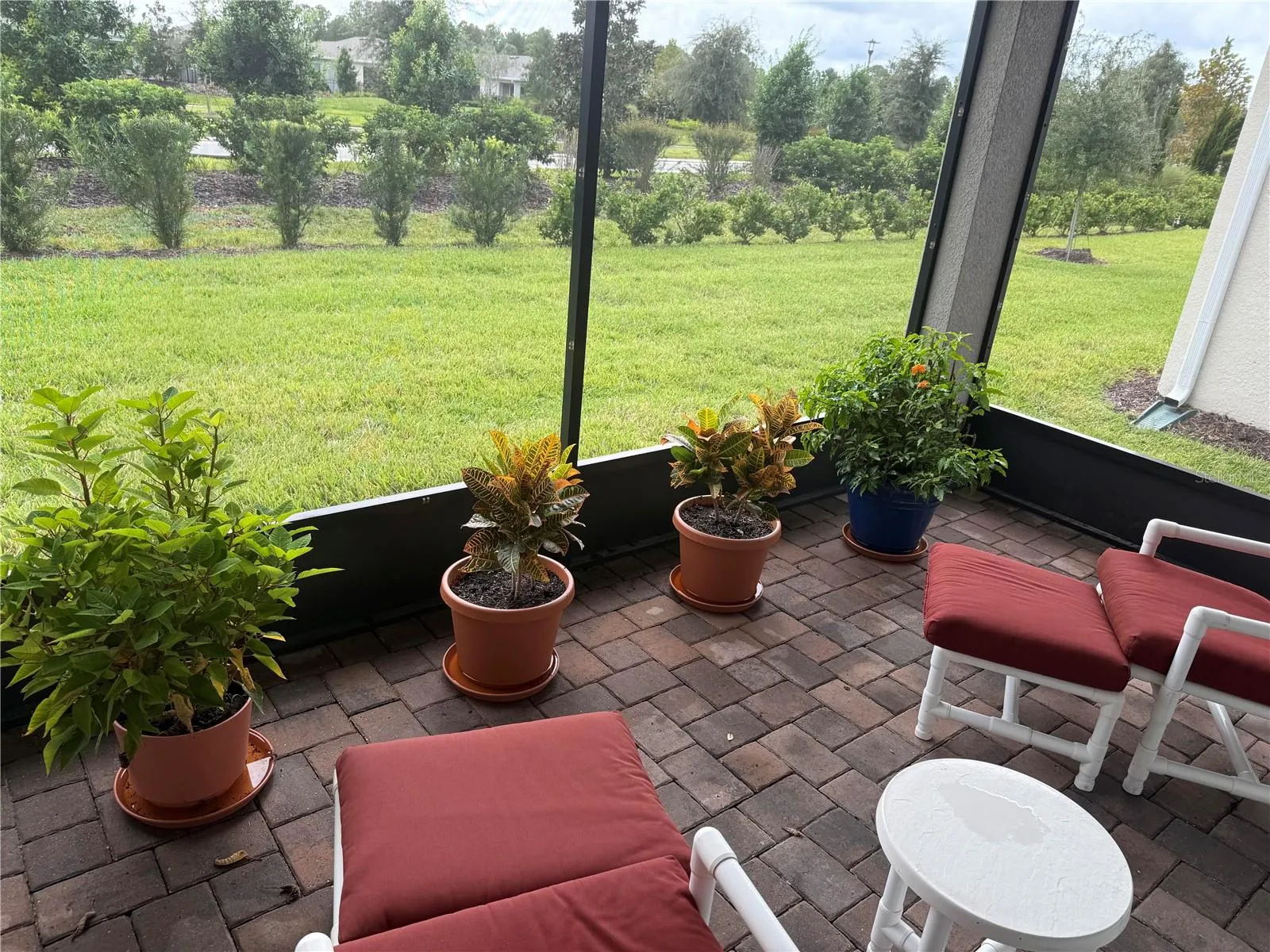 View of Back Yard from Lanai