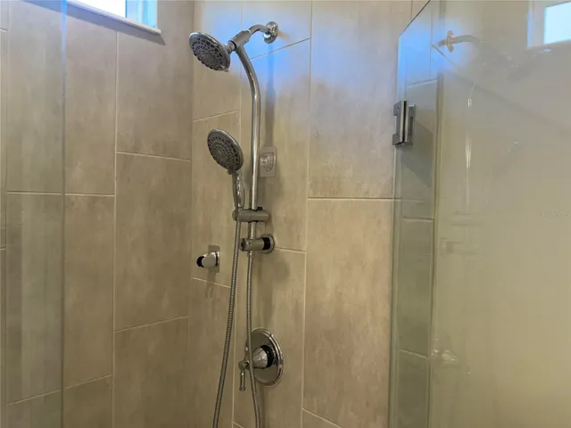 Master Bathroom Shower