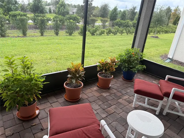 View of Back Yard from Lanai