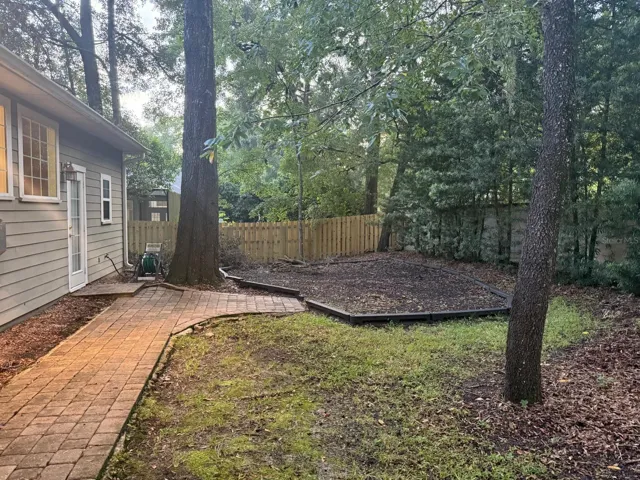 Backyard