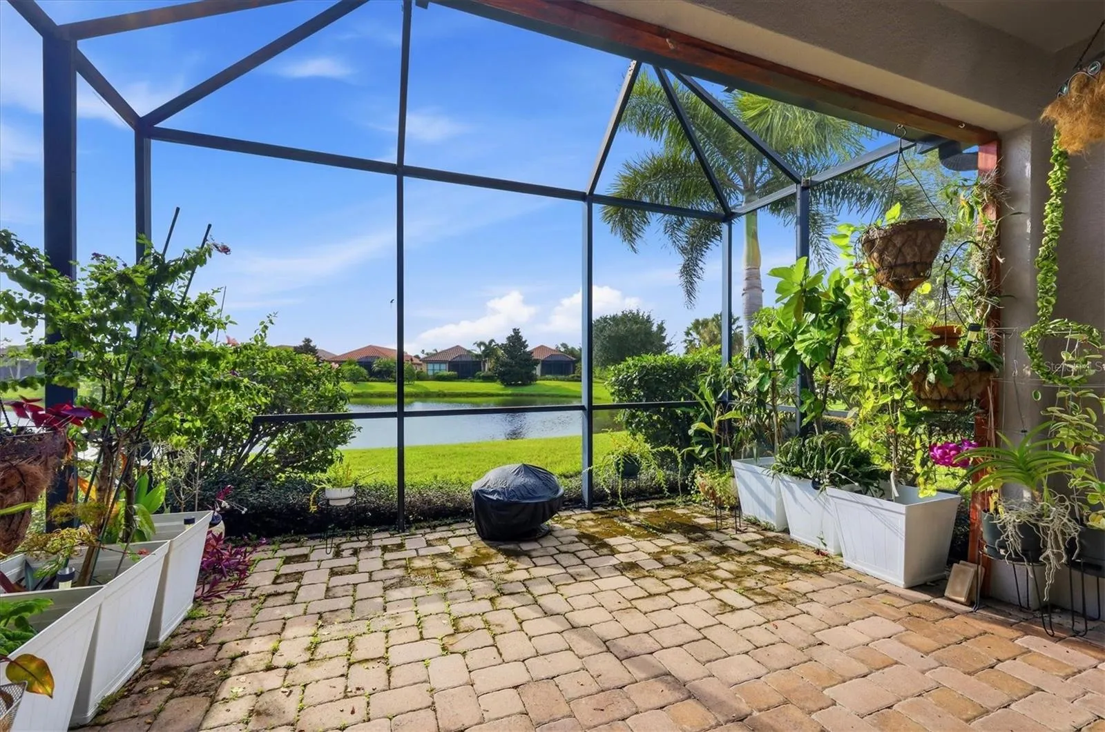 Pond views