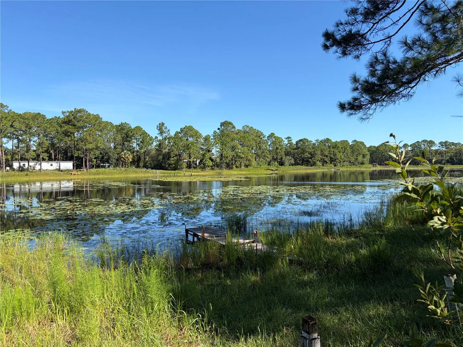 Lakeview
