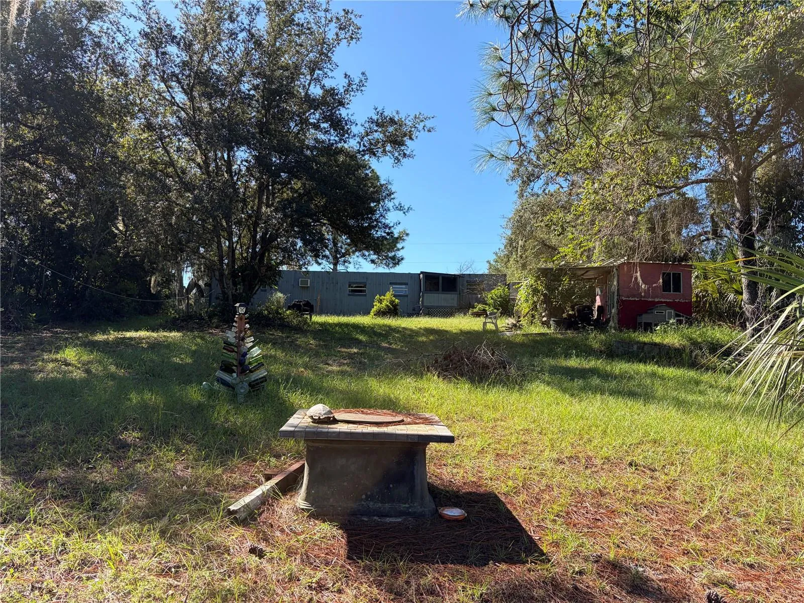 Backyard