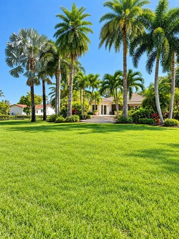 1 acre back yard