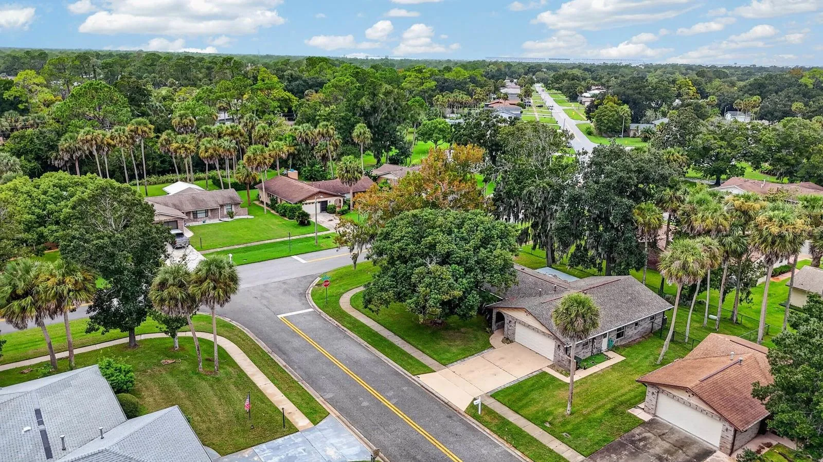 Aerial Neighborhood View
