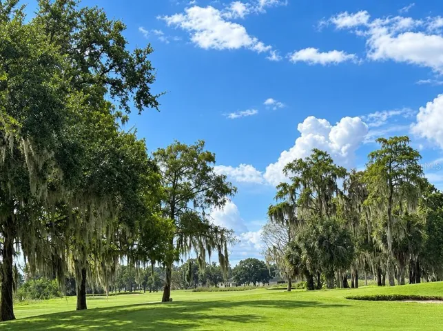 Wedgefield golf course
