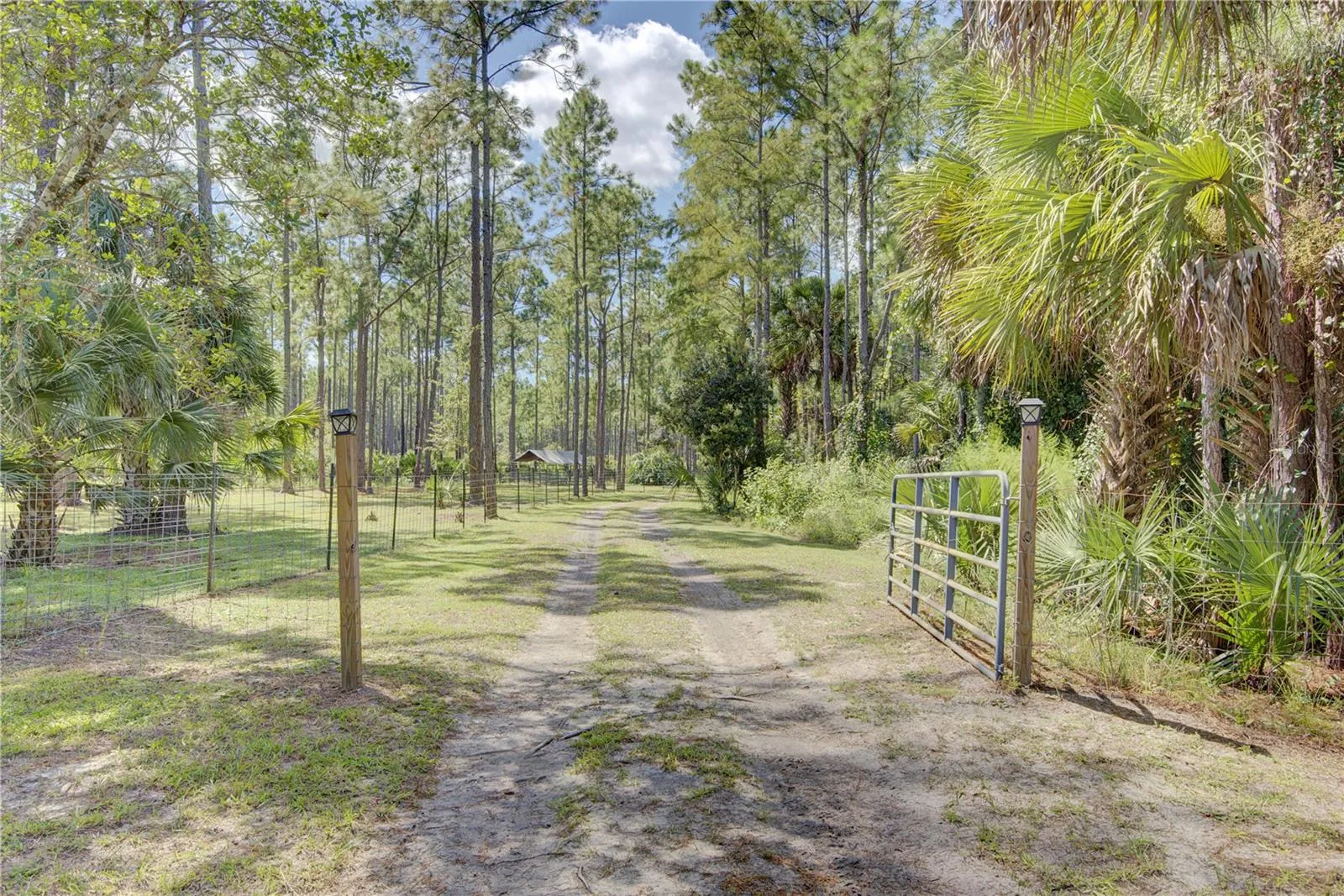 Gate to back pastures
