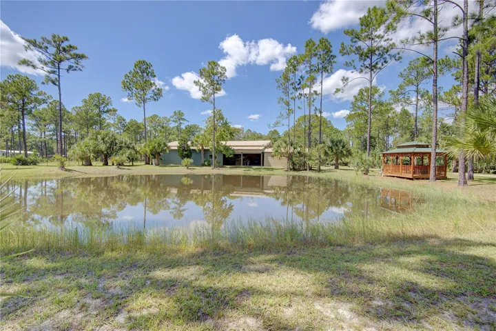Stocked Pond