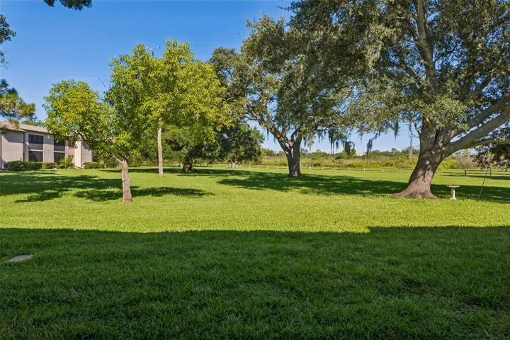 Backyard views!