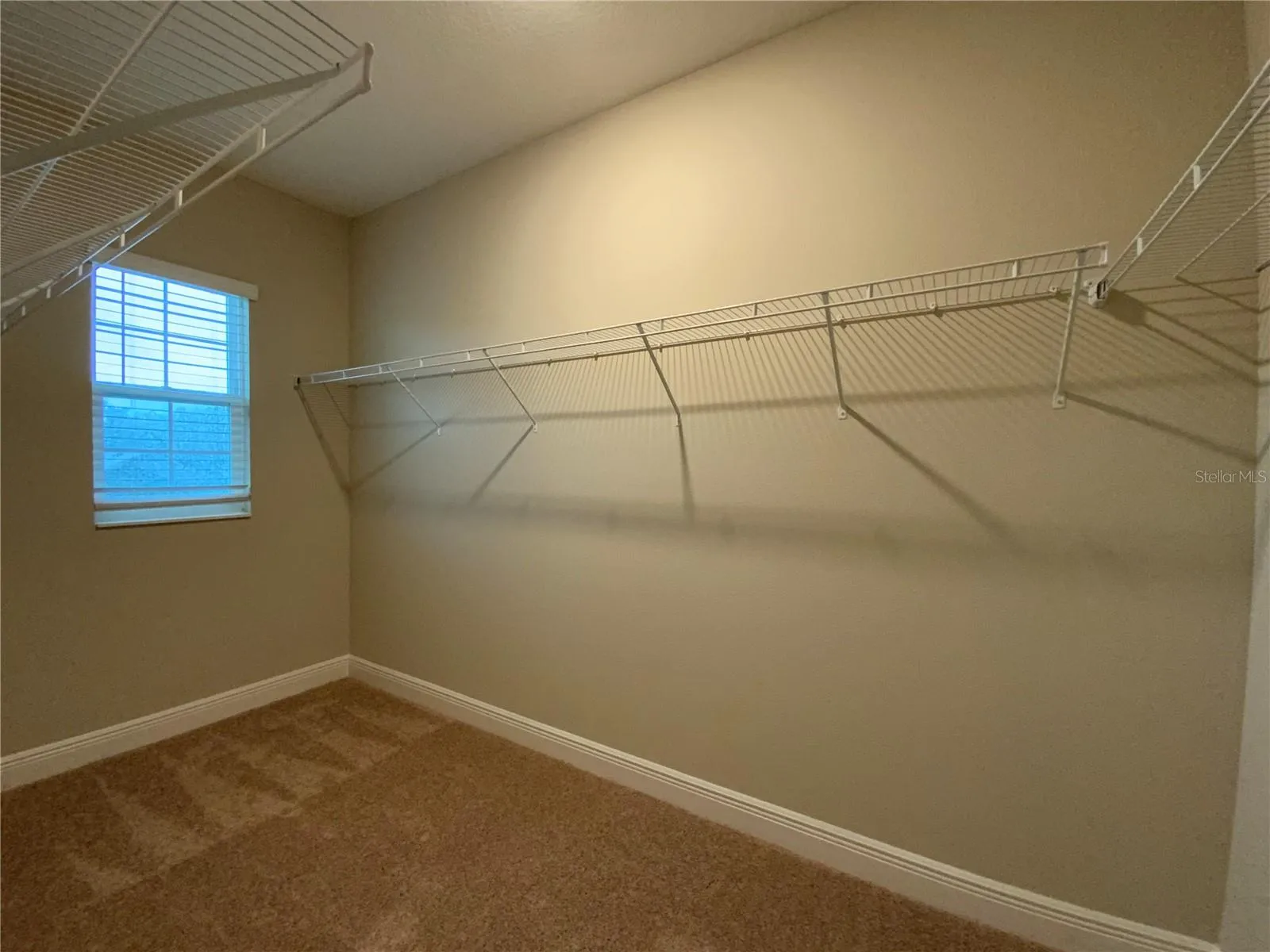 Master Working Closet