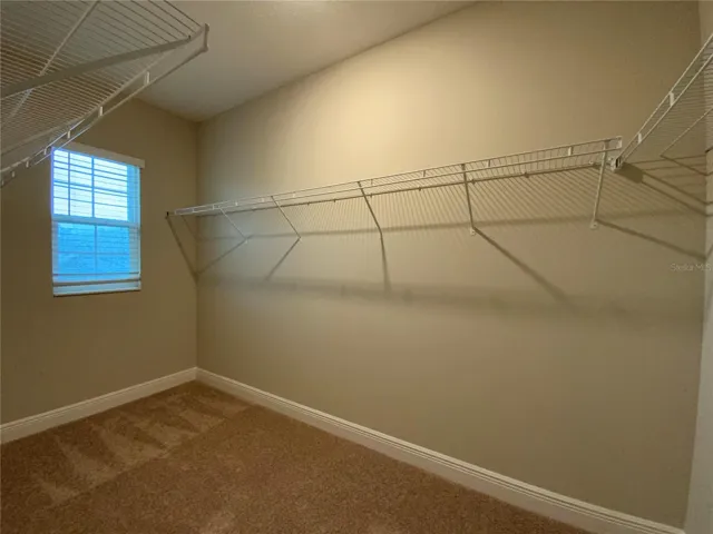 Master Working Closet
