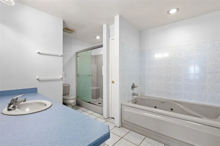 En-Suite Primary Bathroom