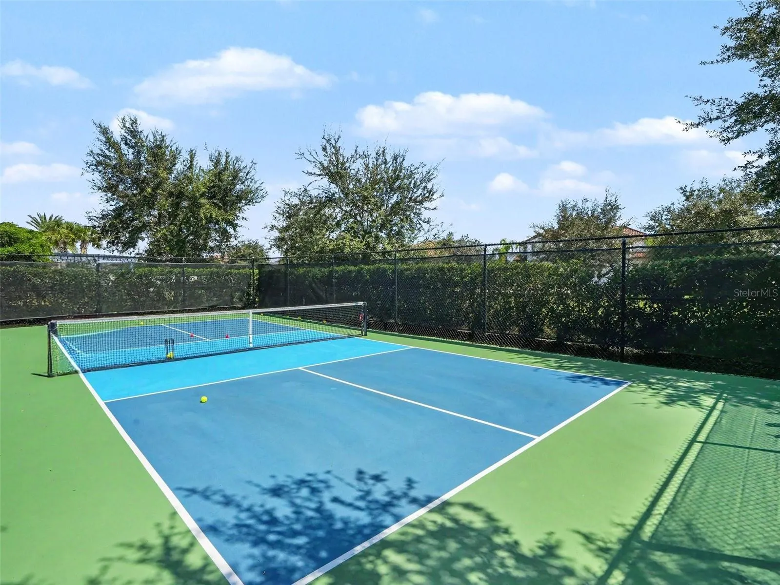 Pickleball Court