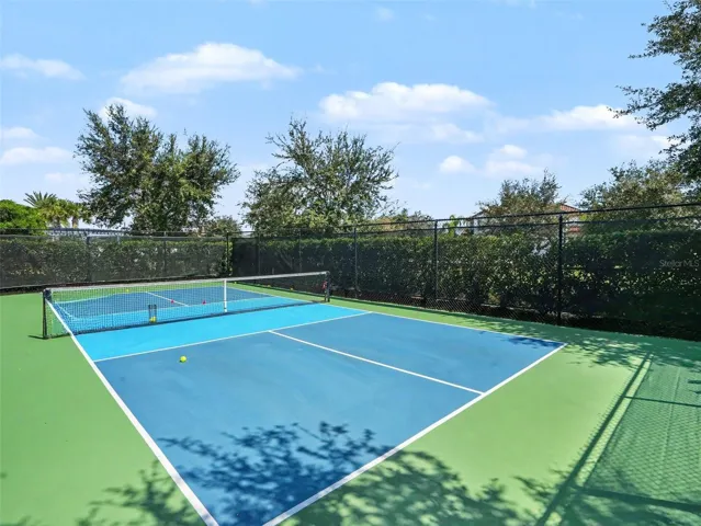 Pickleball Court