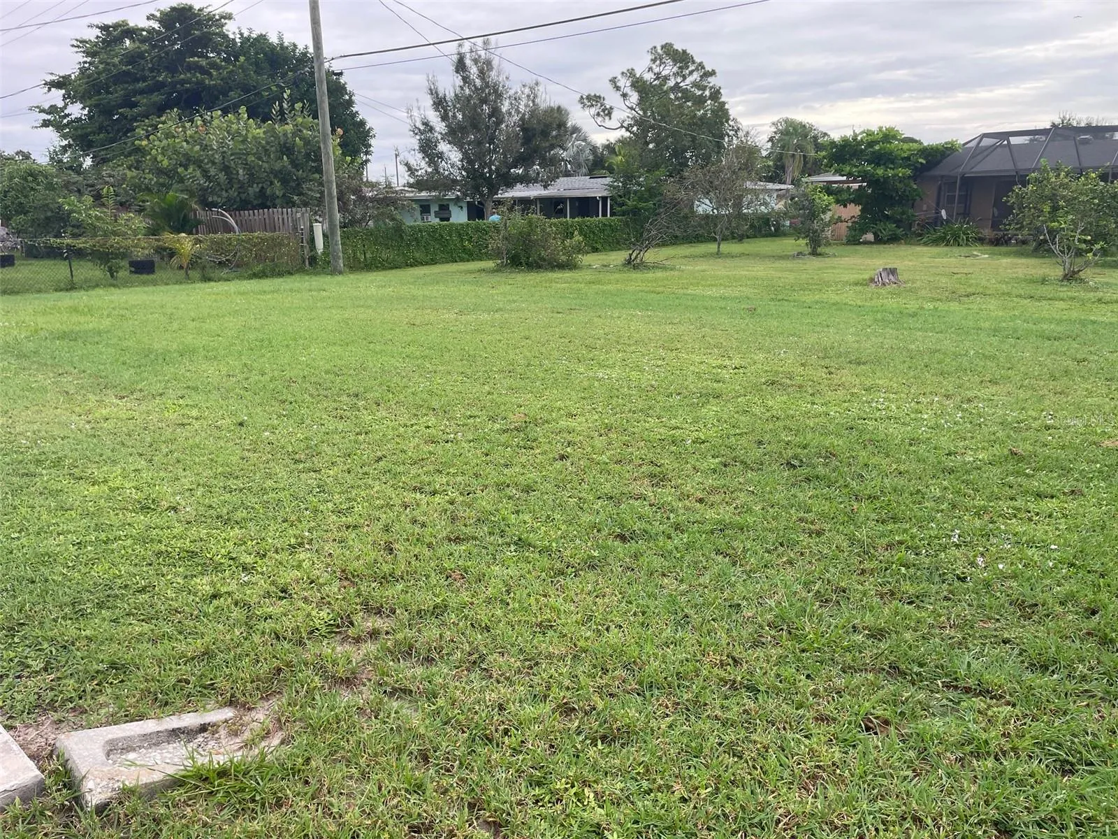 Large back yard