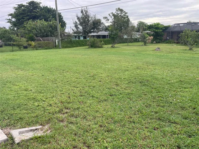 Large back yard