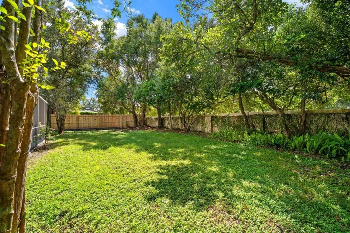 Backyard