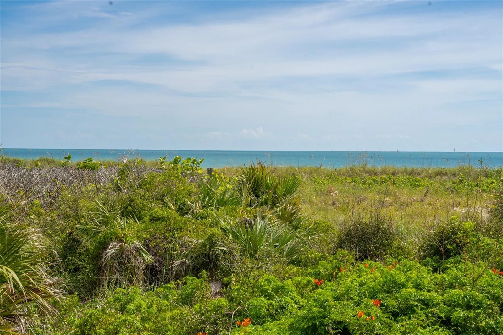 View from Deck