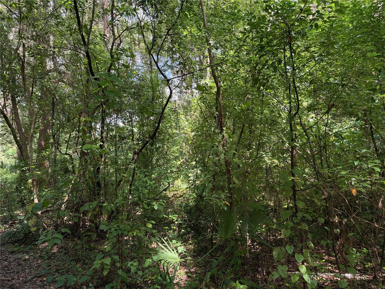Lot Frontage