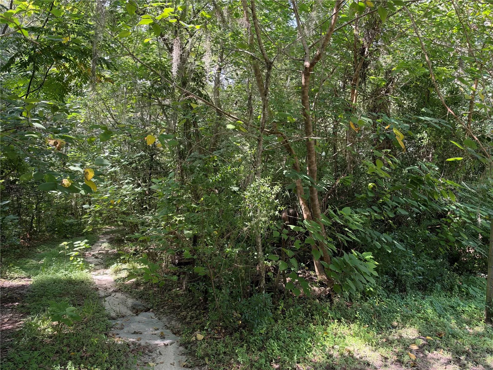 Lot Road