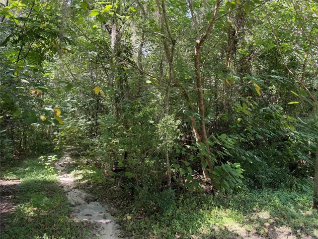 Lot Road