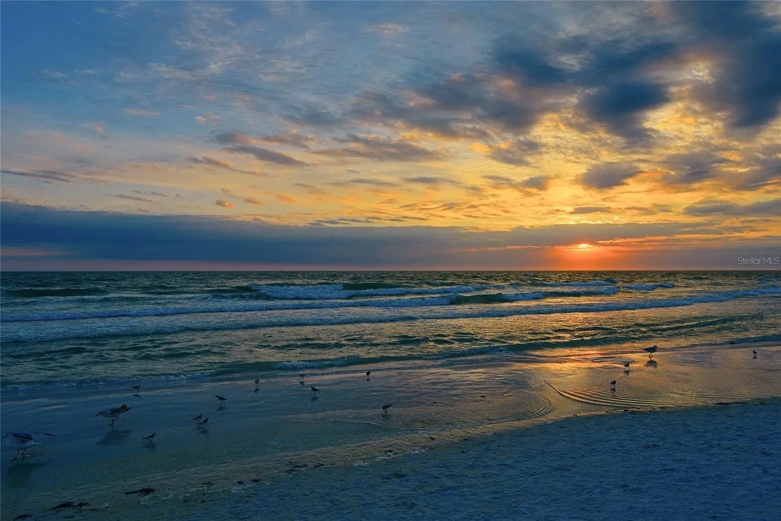 Venice Pier beach