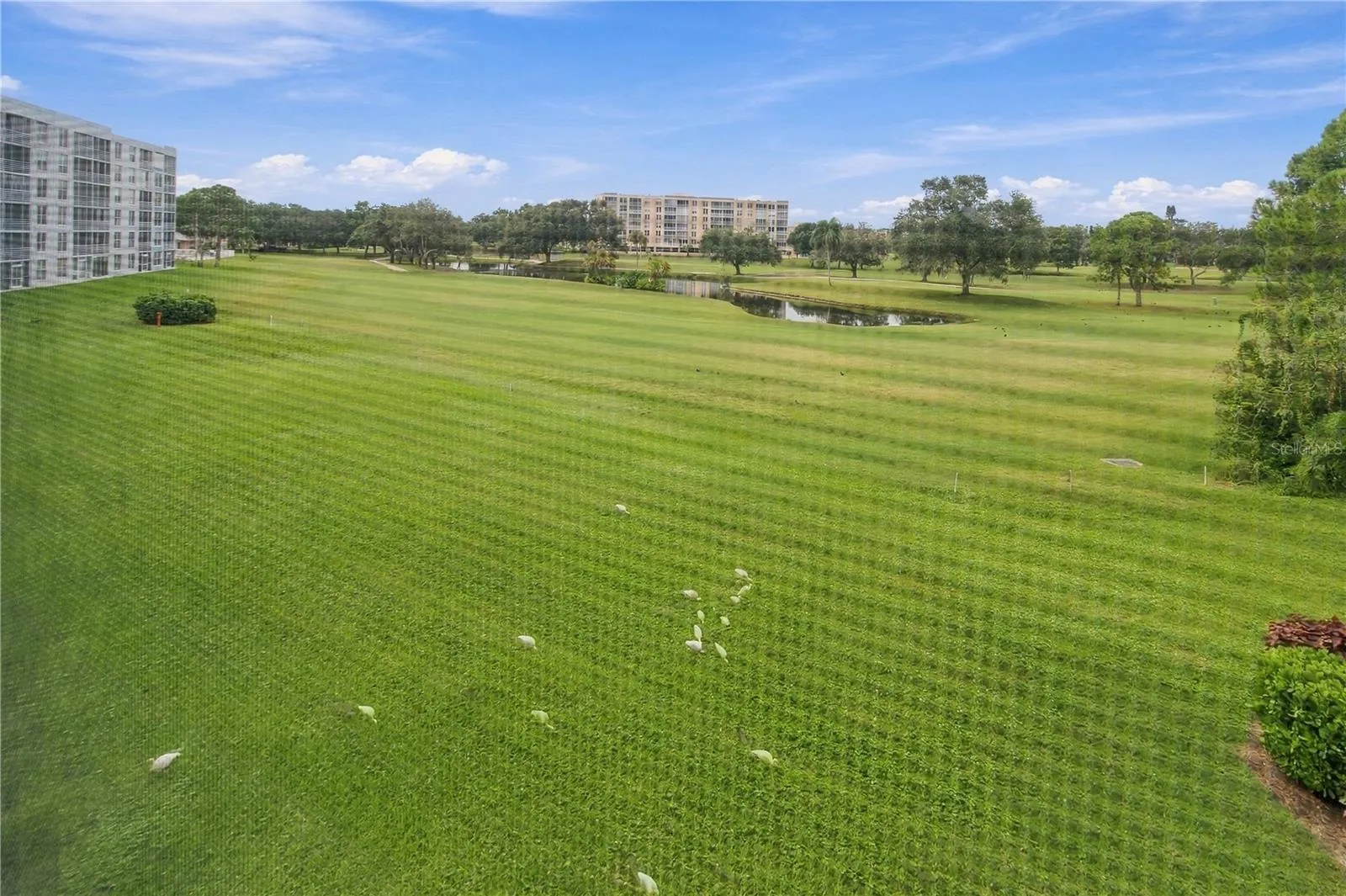 View the entire course