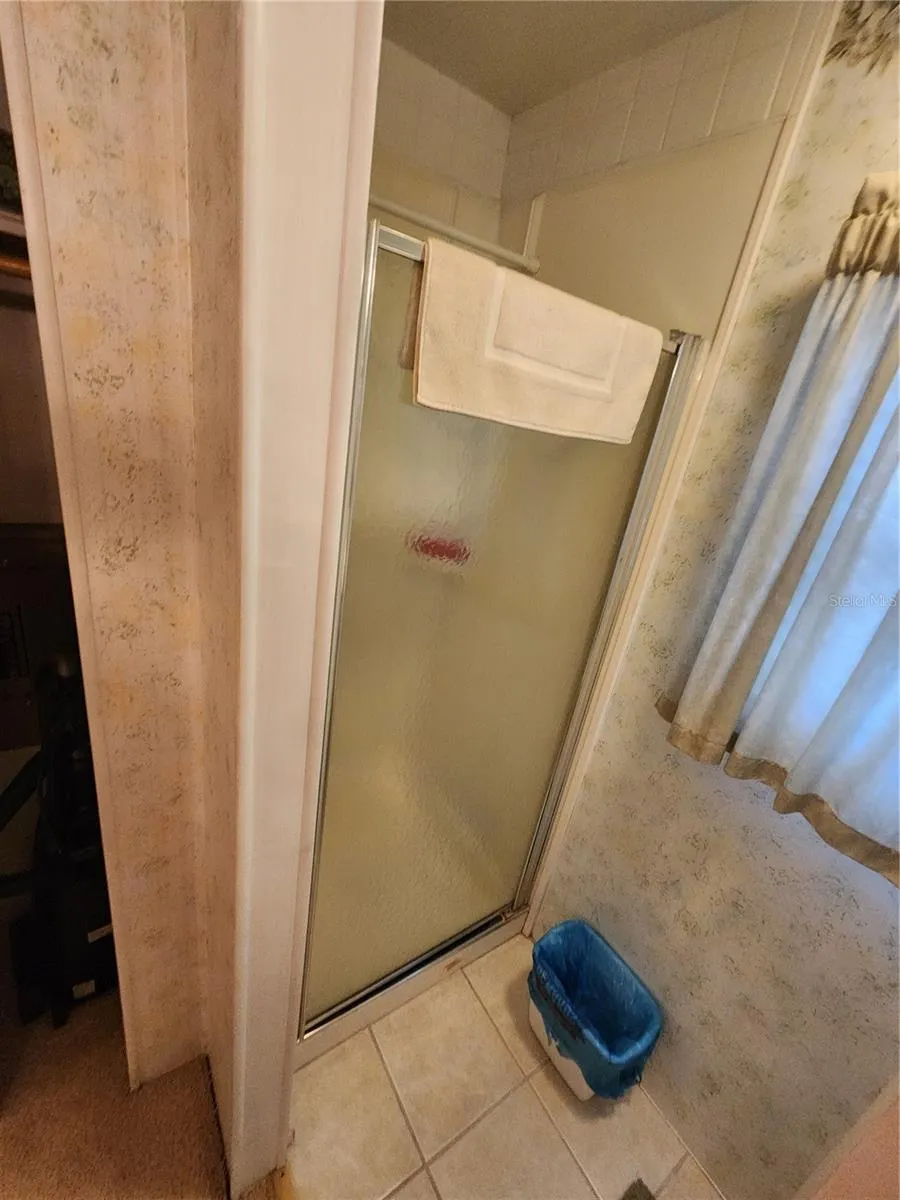 Shower Primary Bathroom