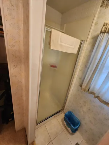 Shower Primary Bathroom