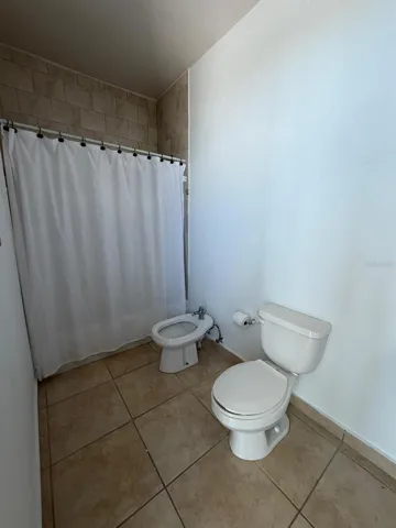 Bathroom in Penthouse area