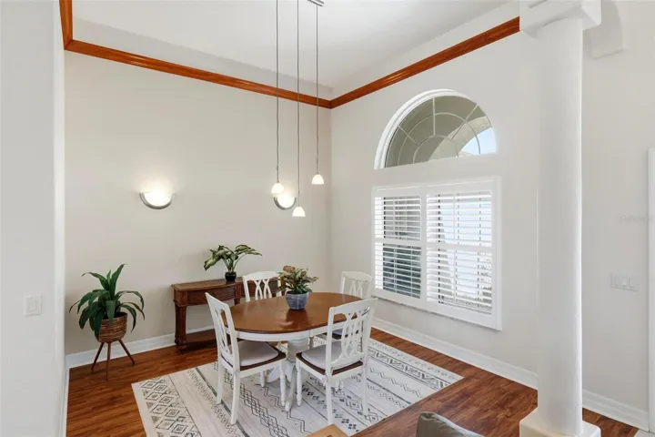 Formal Dining room... Tray ceiling with crown molding and lighting...