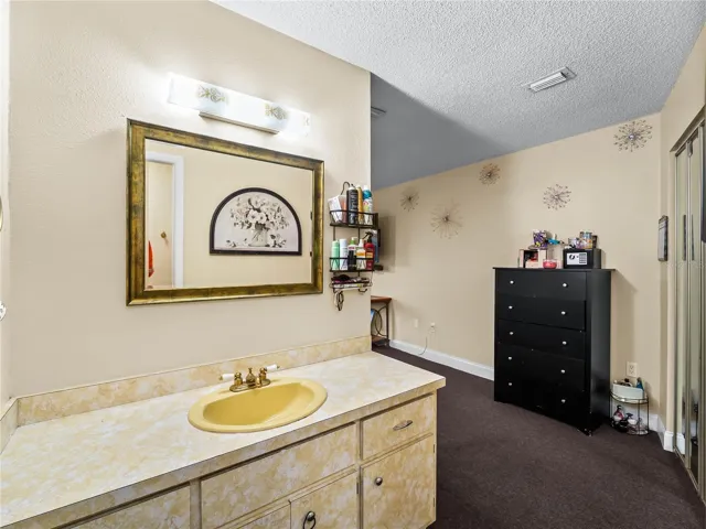 Primary bedrooms oversized vanity - walk-in closet on the right.