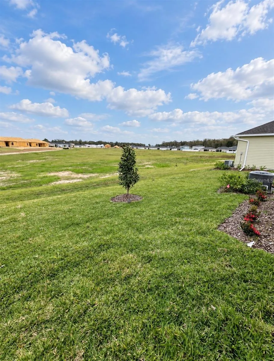 BACKYARD (NOW FULLY FENCED)