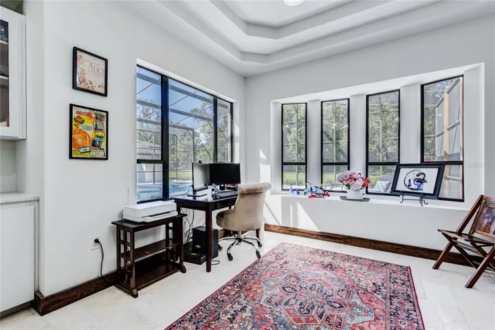 Tray ceilings and gorgeous view of backyard!