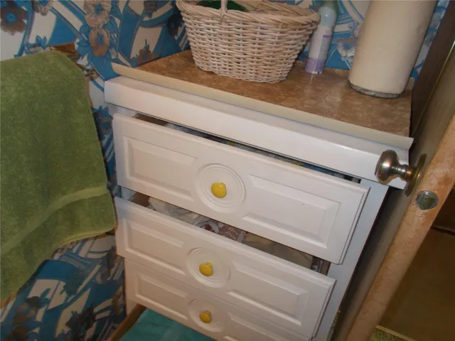 Storage in Bathroom