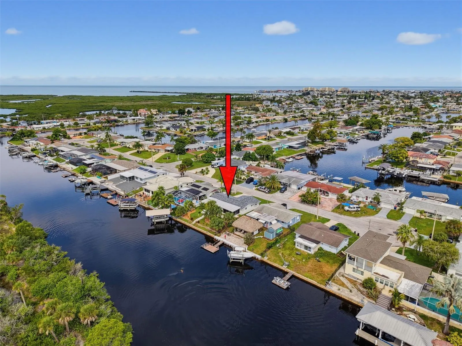 WATCH MANATEES AND DOLPHINS PLAY FROM YOUR BACKYARD