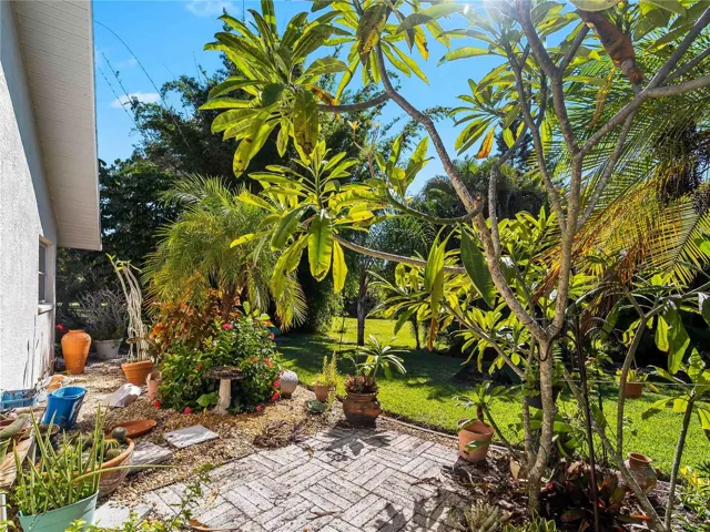 Backyard_134TocopillaStreet_PuntaGorda_TropicalLandscaping_Detail.jpg