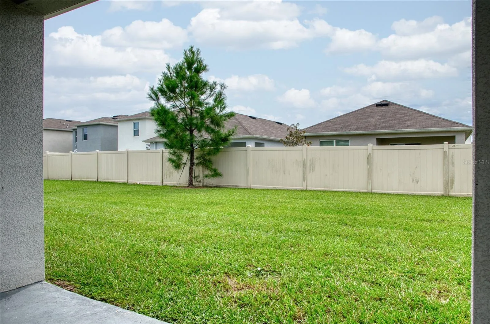 Large Backyard