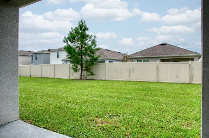 Large Backyard