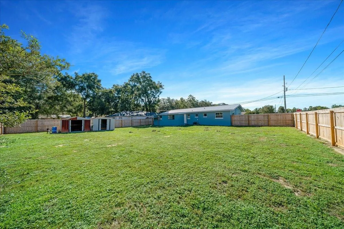 Backyard