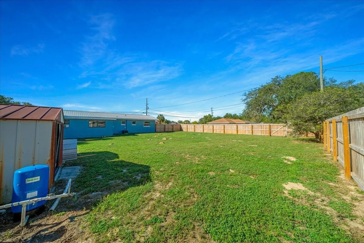 Backyard