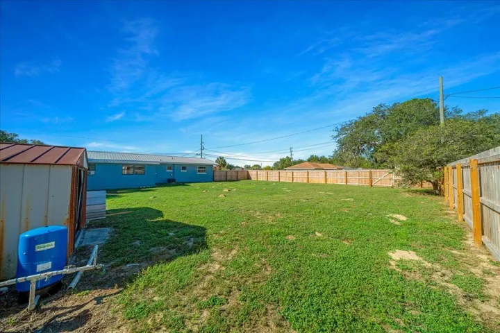 Backyard