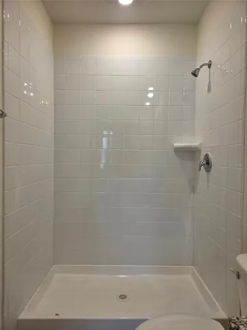 Primary Bathroom Shower