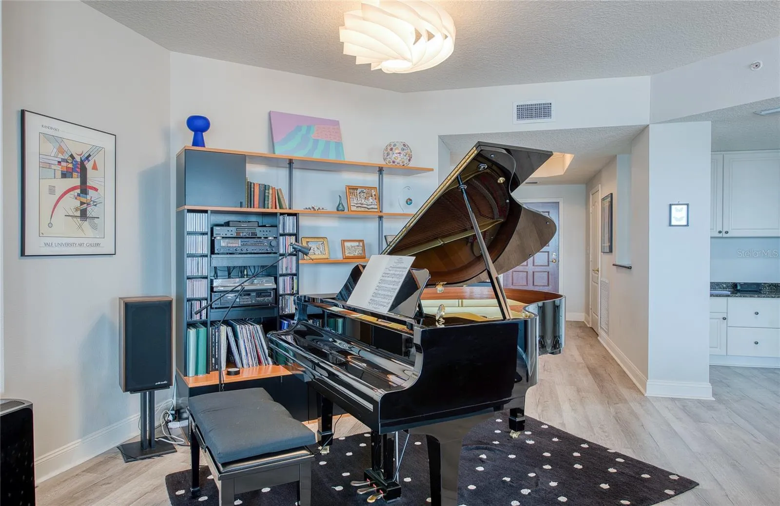 where a large piano currently resides.